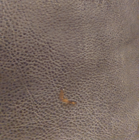 Roots grey leather Duffle bag - Picture 5 of 6